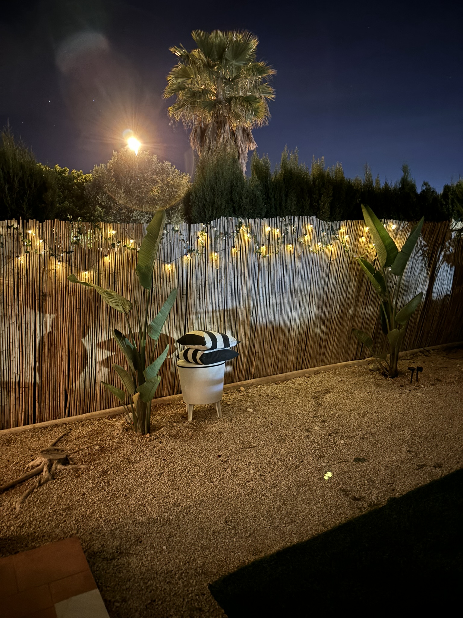 Foto 41 del bungalow